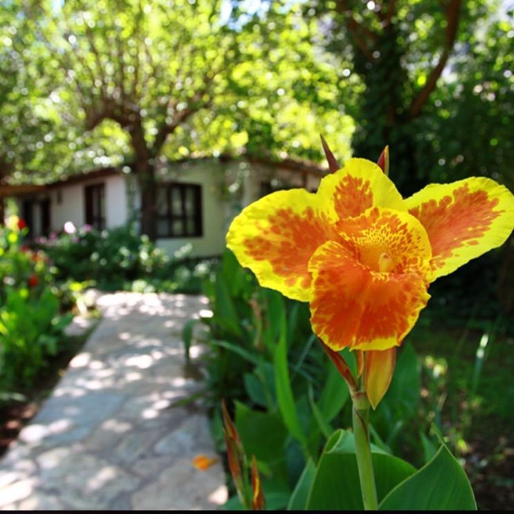 Dolunay Apart Hotel Чирали Экстерьер фото
