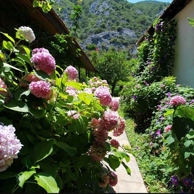 Dolunay Apart Hotel Чирали Экстерьер фото